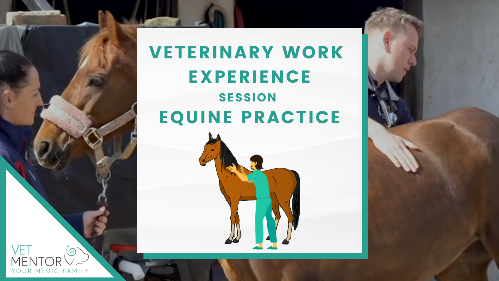 Vet Mentor - Clinical Equine Practice