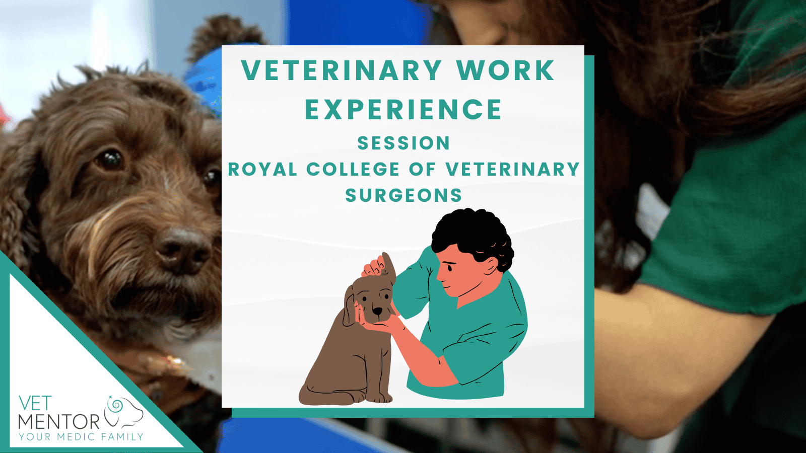 Vet Mentor - Veterinary Ethics and Animal Welfare