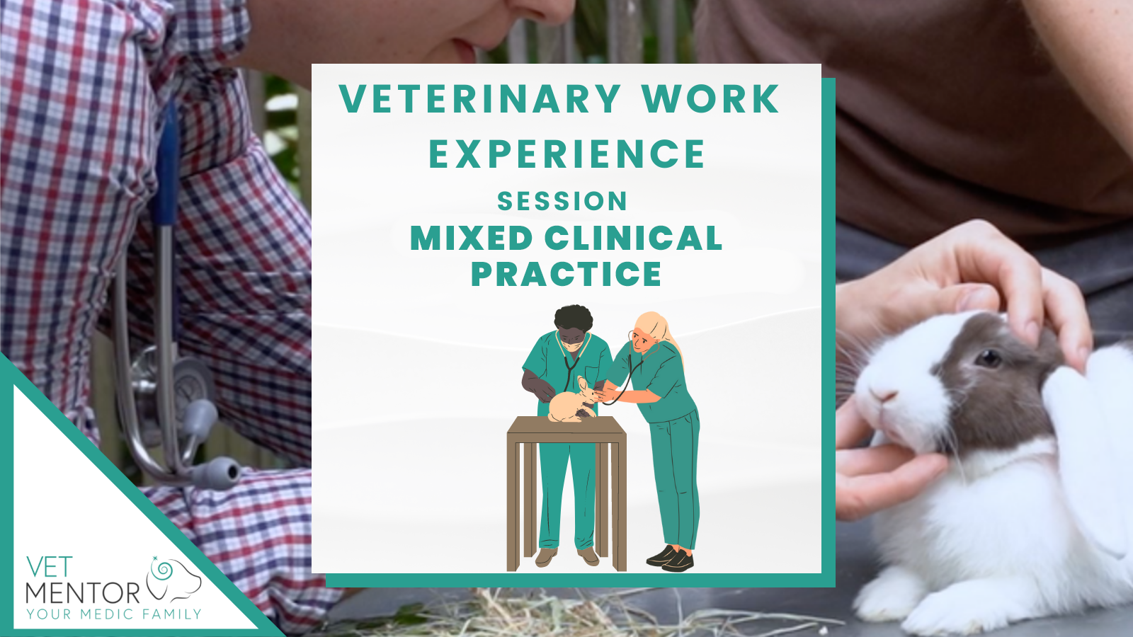 Vet Mentor Work Experience - Mixed Clinical Practice