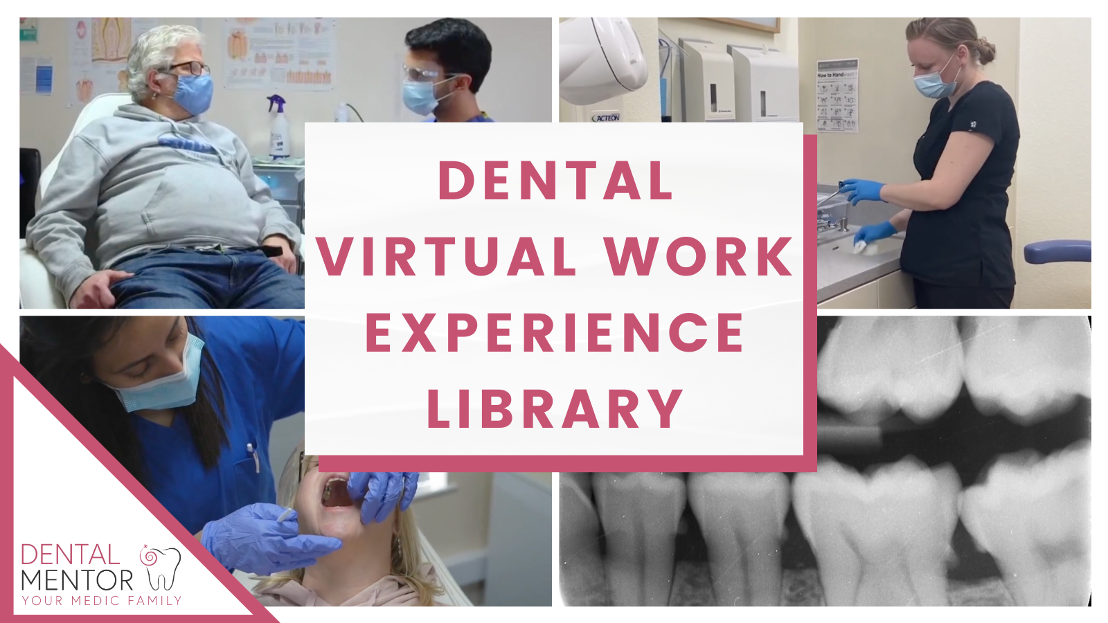 The Dental Work Experience Library